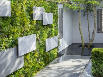 Italian basalt stone panels mounted over living green vertical wall, multi-stemmed Carpinus betulus, 'Birch' by Mary Bourne